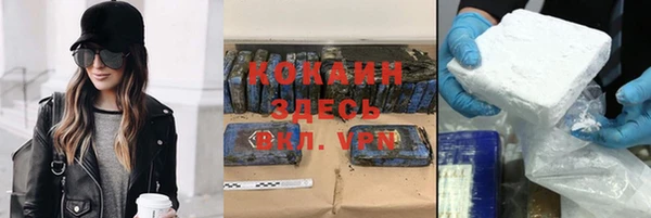 гашик Алексин
