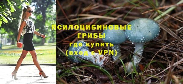 MDMA Алексеевка