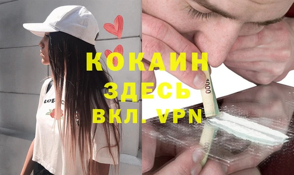 трава Гусь-Хрустальный