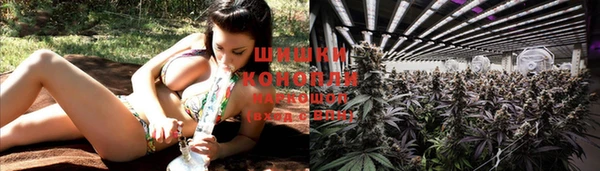 прущие крисы Волосово