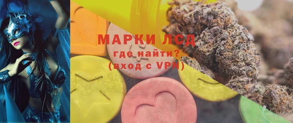 гашик Алексин
