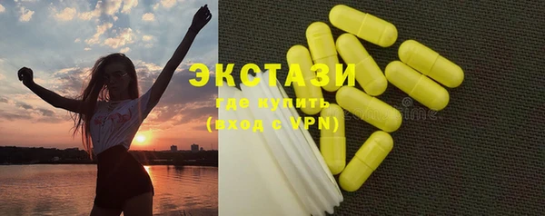 гашик Алексин