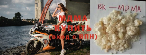 гашик Алексин