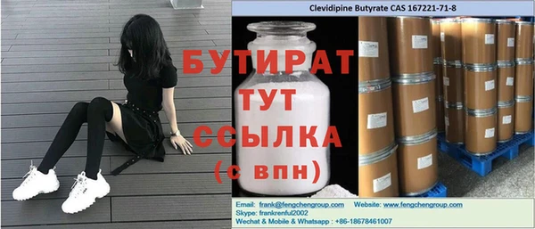 гашик Алексин